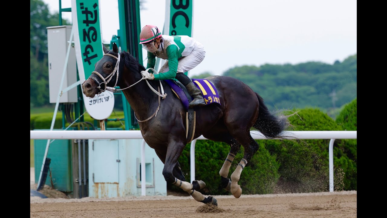 【佐賀競馬】第12回佐賀皐月賞 （2024.4.28）