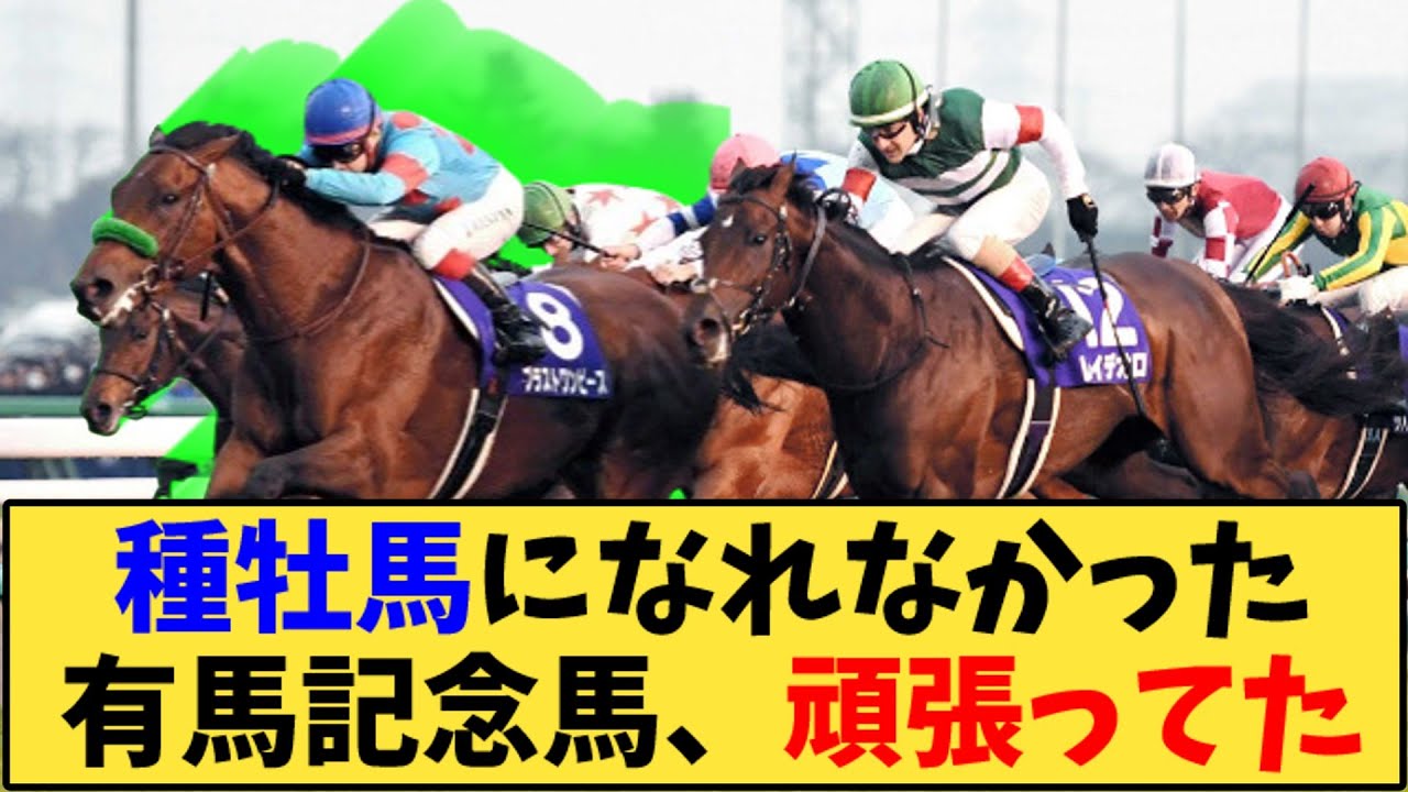 【競馬】「種牡馬になれなかった有馬記念馬、頑張ってた」に対する反応【反応集】