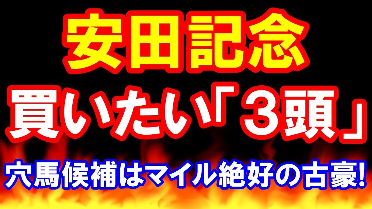 安田記念 2024 【 買いたい３頭 】 穴馬候補は マイル絶好の古豪！