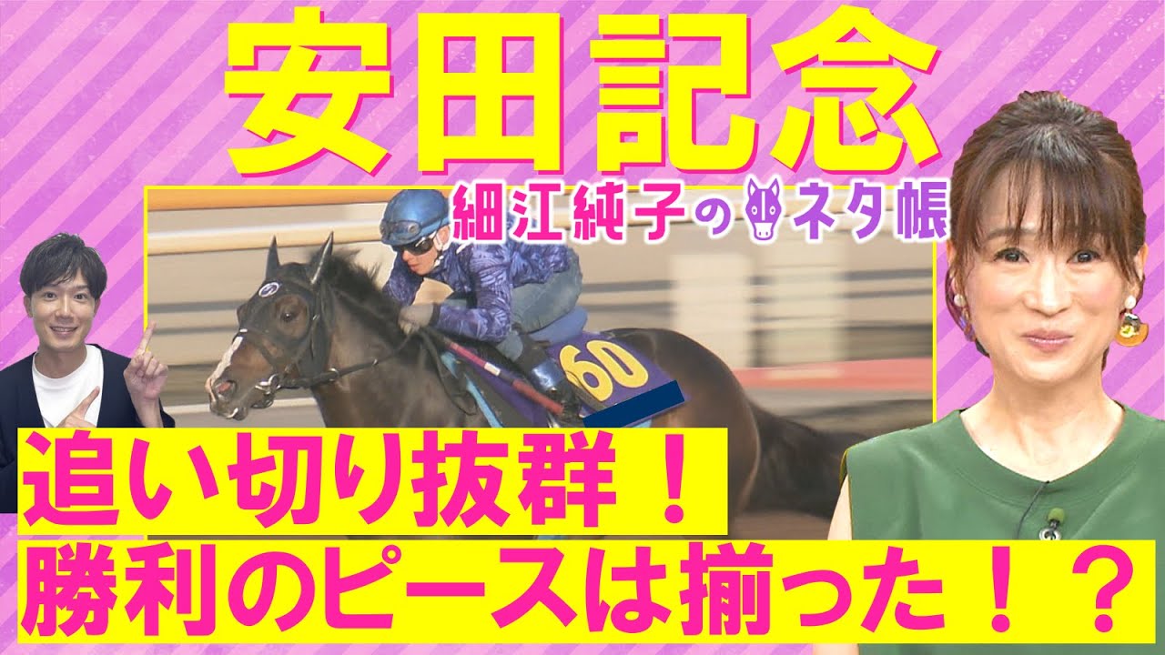 【マイル王か？悲願のＧⅠ初制覇か？世界の強豪か？】セリフォス、ソウルラッシュ、ロマンチックウォリアー・・・安田記念(ＧⅠ)を元ジョッキーの細江純子さんが徹底解説！＜細江純子のネタ帳＞