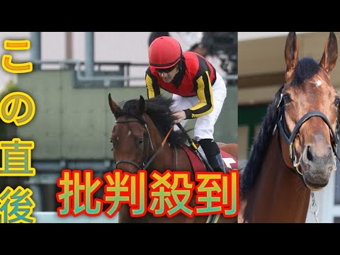 昨年エリザベス女王杯覇者ブレイディヴェーグ、夏の復帰を目指すakari　右飛節炎症で3月ドバイ遠征見送り