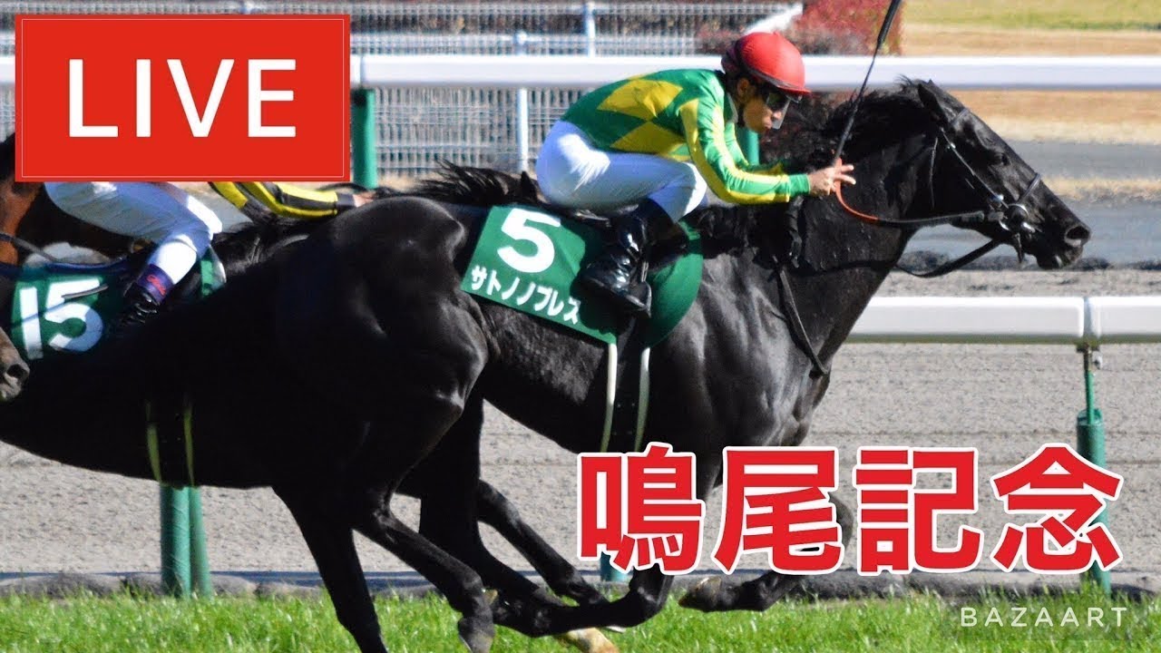 【競馬中継】鳴尾記念 ！ ～予想バトル開催中～