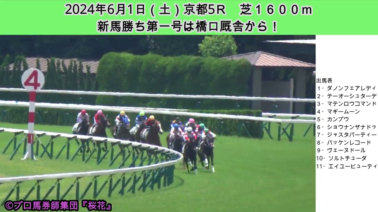 20240601京都5Rメイクデビュー新馬戦！２０２１年に生まれた若ごまたちの新馬勝ち第一号はどの馬か？