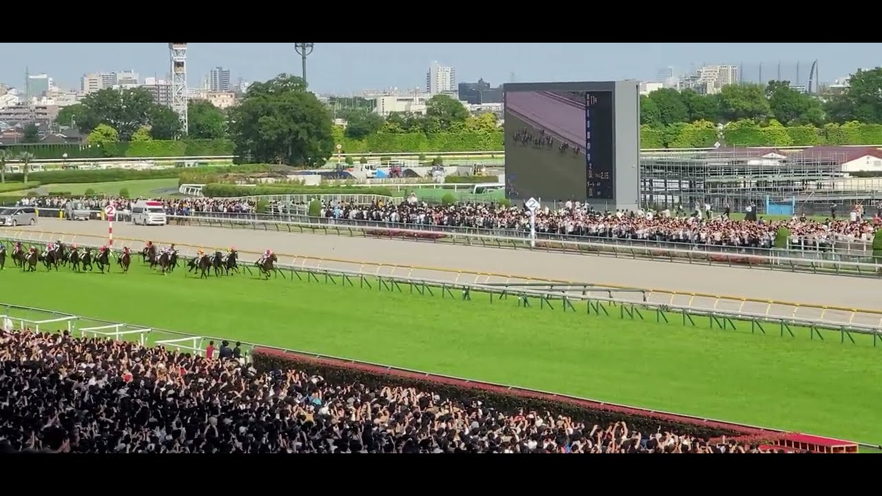 【第91回 日本ダービー(東京優駿)】【現地映像】優駿馬：ダノンデサイル 鞍上：横山典弘