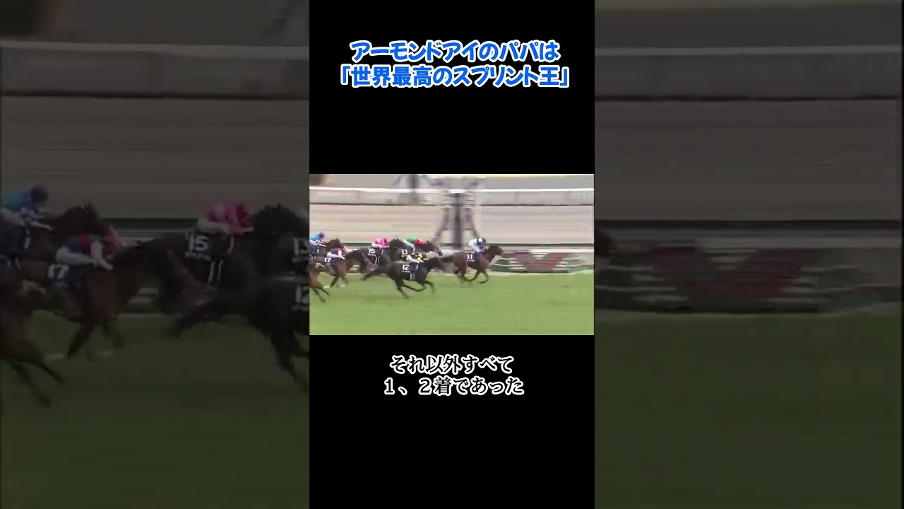 【世界のスプリントキング】ロードカナロアの偉業と残された宝物たち！#競馬 #shortvideo #名馬 #shorts #香港スプリント #horse #スプリンターズステークス #高松宮記念