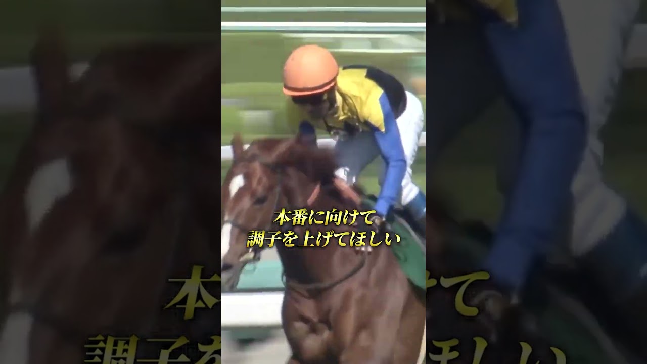 宝塚記念へのステップ！鳴尾記念 見どころと注目馬解説#鳴尾記念 #宝塚記念2024 #ボッケリーニ #ヨーホーレイク #ロードデルレイ #競馬予想