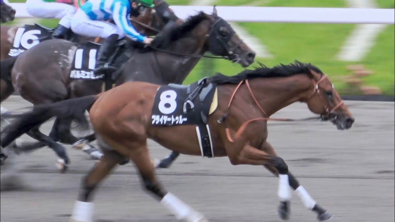 【放馬】【落馬】安田記念day 最終レース 一人で2着に入るも走り足りないと4周半走って満足‼ フライヤートゥルー 現地映像