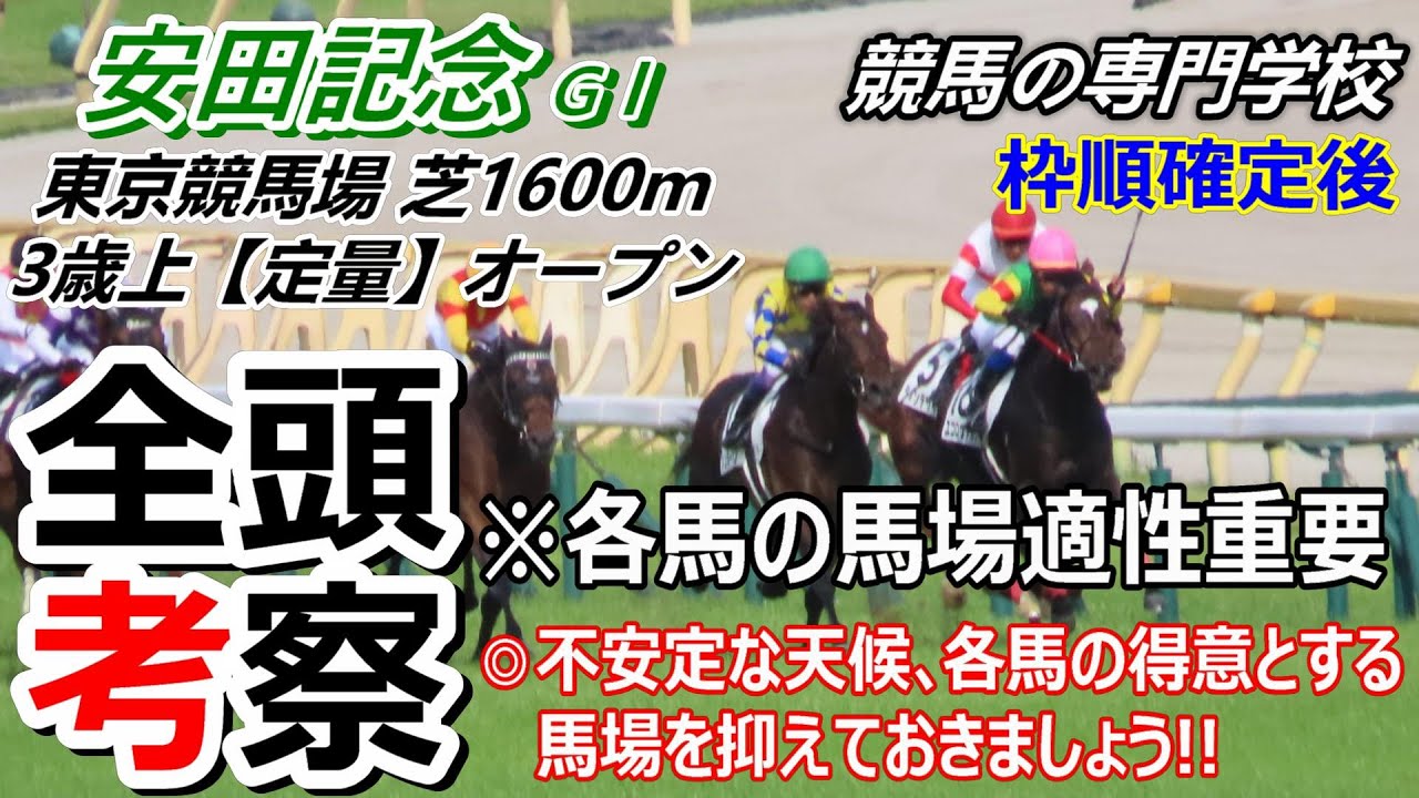 【安田記念2024】全頭考察 各馬の細かい馬場適性を解説