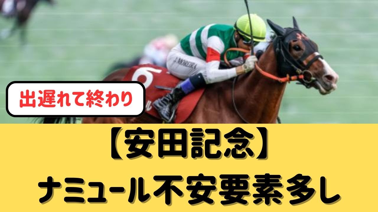 【安田記念】ナミュール不安要素多し【競馬の反応集】