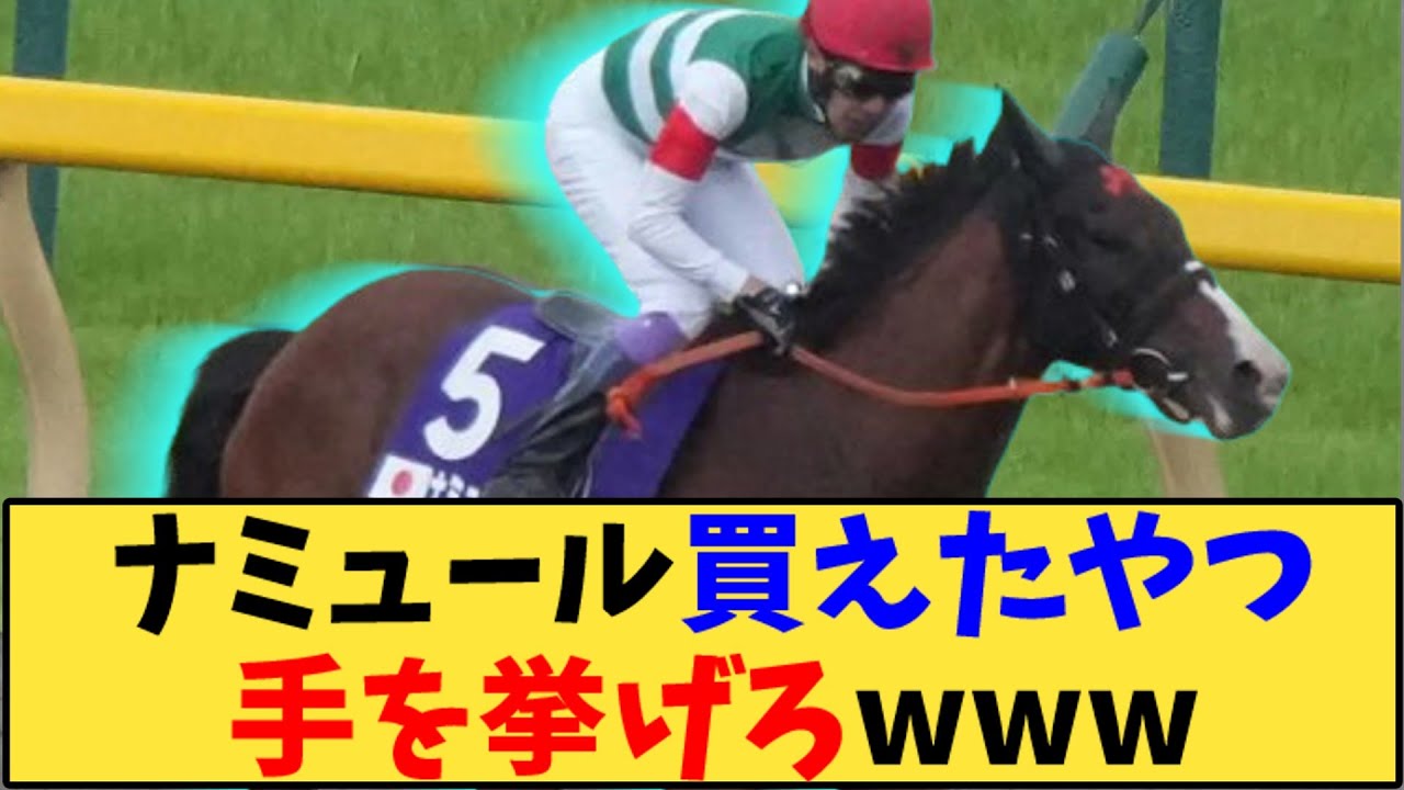 【競馬】「安田記念 ナミュール買えたやつ手を挙げろwww」に対する反応【反応集】