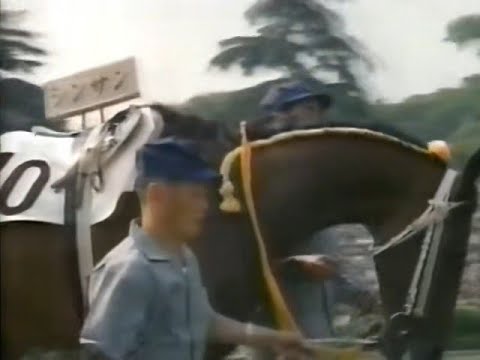競馬 シンザン五冠 ( + 宝塚記念 )