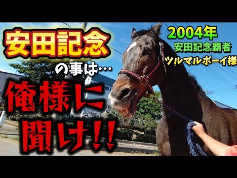 安田記念の事は安田記念を勝った事が有る馬に聞け！！！！ツルマルボーイ様に2024年安田記念を予想して頂きました。【ツルマルボーイ様のシモベ】