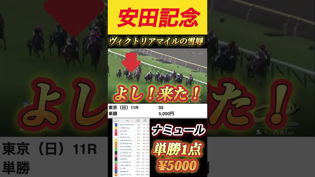 【競艇・ボートレース・競馬】ナミュールにヴィクトリアマイルの借りを安田記念で返してもらおうwww#ギャンブル #ボートレース #競艇 #競馬 #競馬予想 #競馬初心者 #ナミュール #安田記念