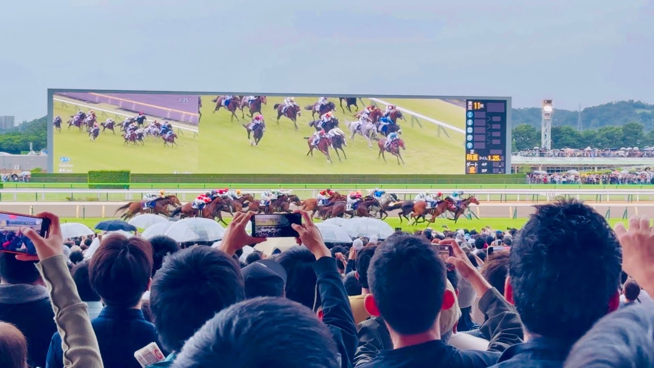 【2024安田記念】浪漫勇士が強かった 現地映像 4K