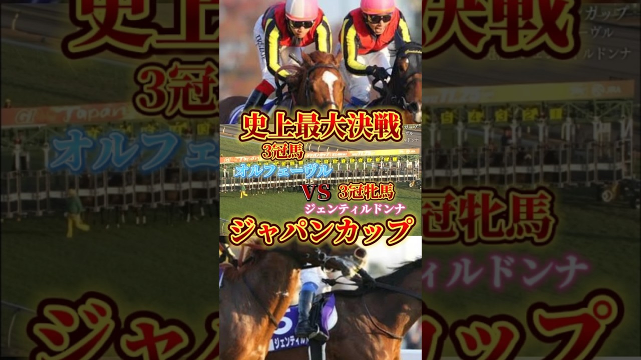 これこそが！『本当の2強』！！最強馬2頭の１着争いは迫力満点！#競馬 #競馬予想 #馬券勝負 #ジャパンカップ #オルフェーヴル #ジェンティルドンナ #3冠馬 #安田記念 #競馬ファン #競馬動画