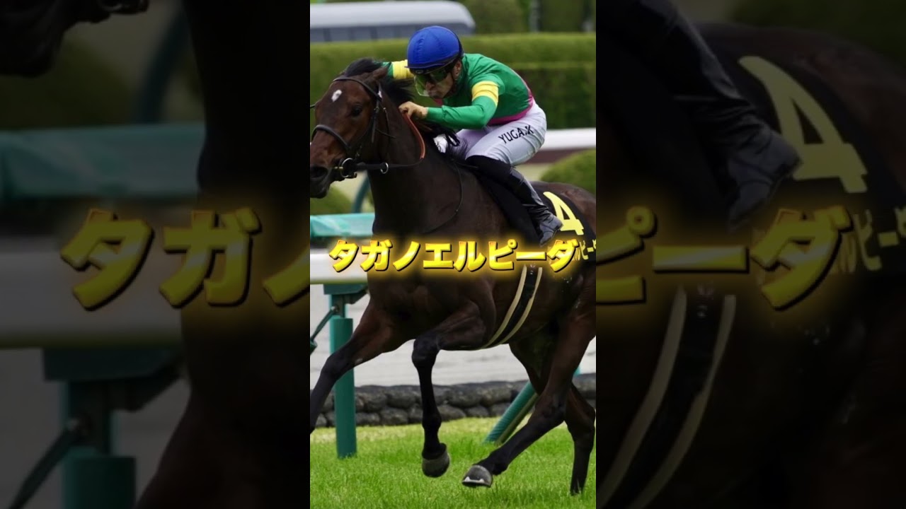 G1優駿牝馬オークス伏兵たち３戦