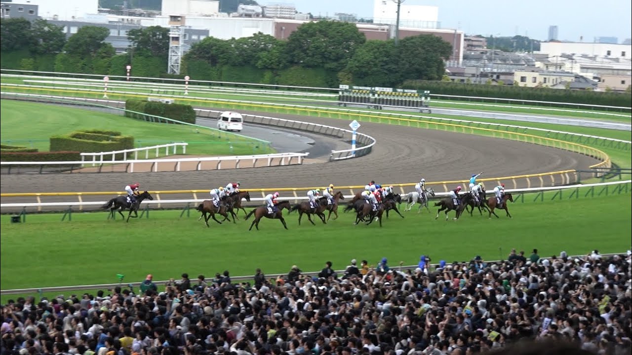 【2024 安田記念レース映像】香港のロマンチックウォリアーが優勝！浪漫勇士【現地】