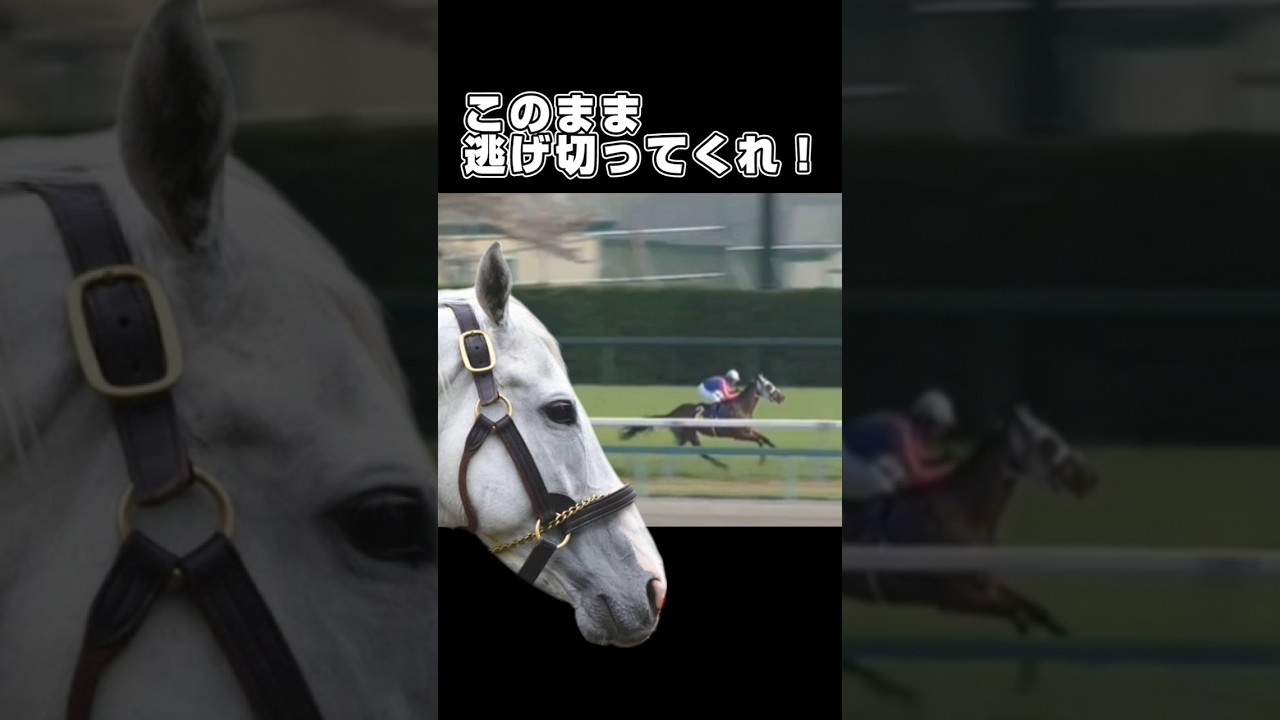 『誇らしい息子メイショウタバル 』#競馬 #ゴールドシップ #皐月賞