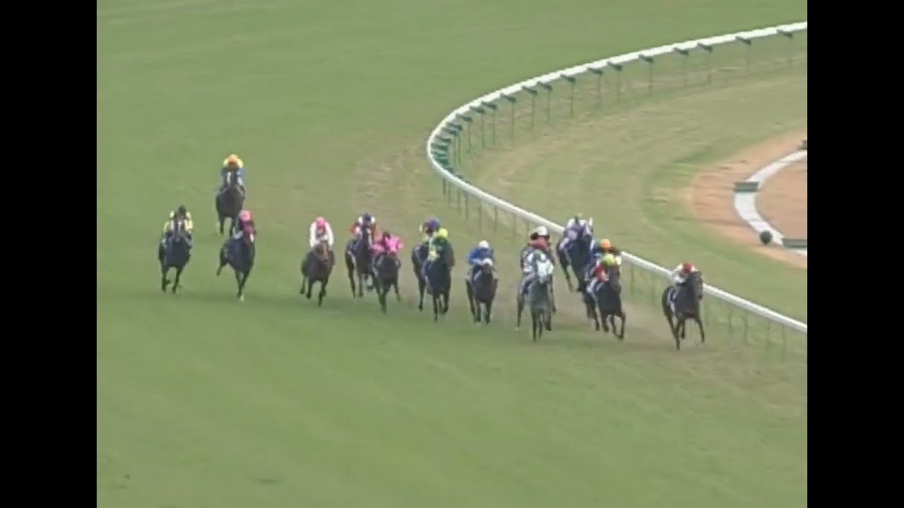 ヒシミラクル 2004年 第24回ジャパンカップ(GI) (優勝馬：ゼンノロブロイ)(実況：ラジオたんぱ)