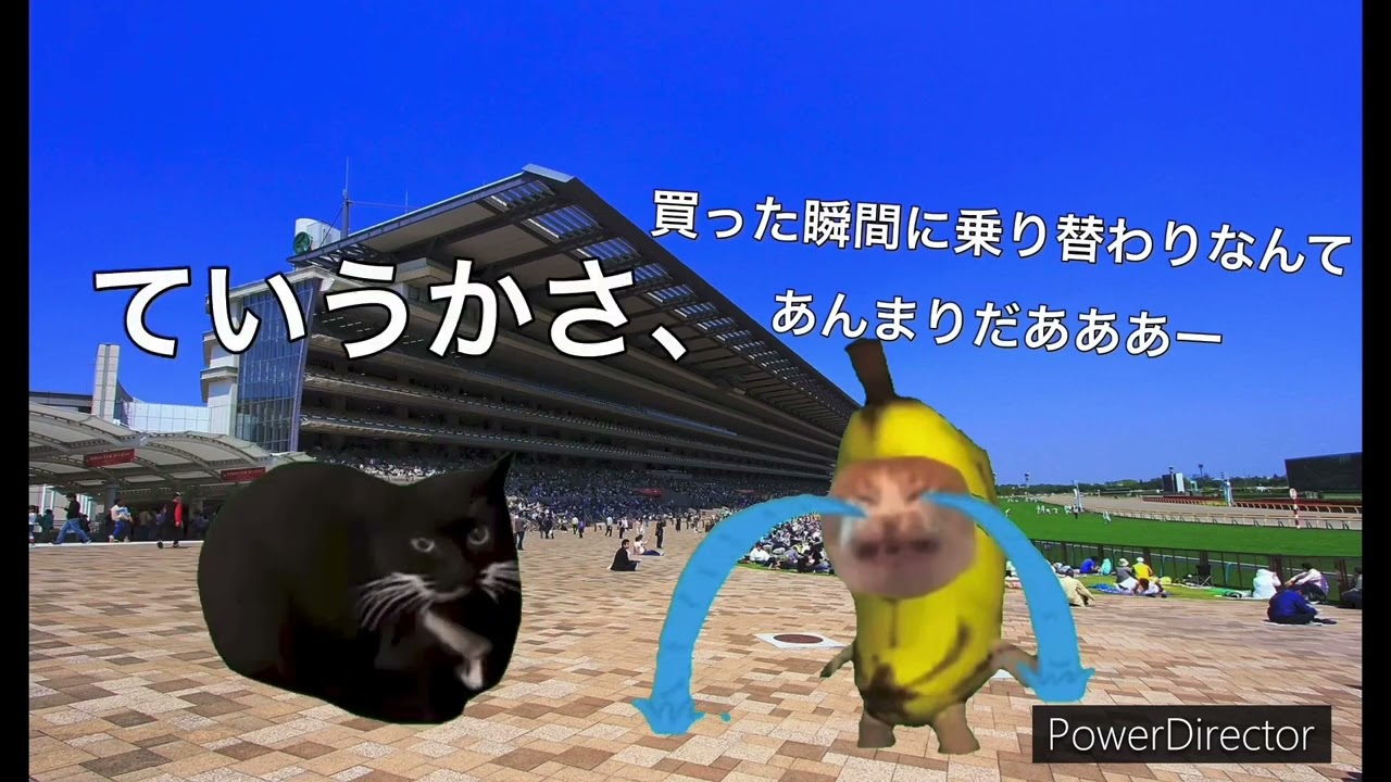 【猫ミーム】競馬で脳筋ムーブをした結果　天皇賞秋編