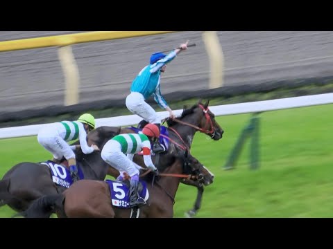 【安田記念2024】世界を又にかけて活躍する馬は強かった‼ロマンチックウォリアー ウィニングラン 現地映像