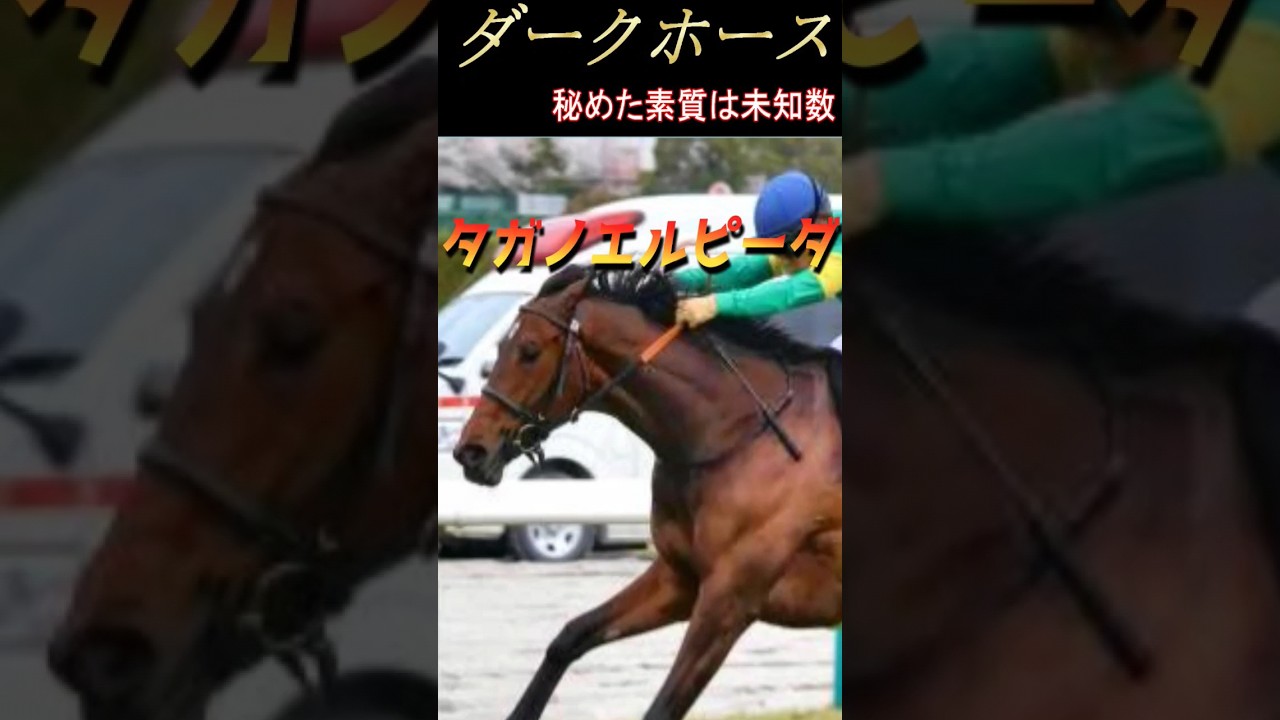 【 2024 優駿牝馬 オークス 】注目馬１分紹介『 日曜日版 』牡馬に揉まれながらも３着になった実績をここで発揮！？（ タガノエルピーダ ）