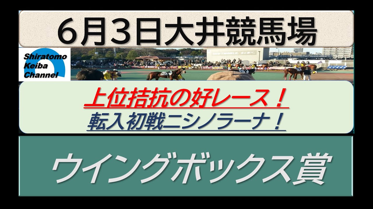【競馬予想】ウインボックス賞！～２０２４年６月３日 大井競馬場 ：６－４