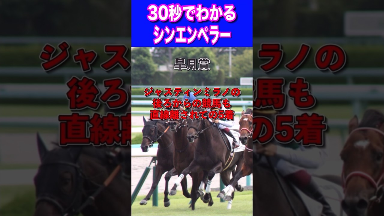 【日本ダービー2024】30秒でわかるシンエンペラー