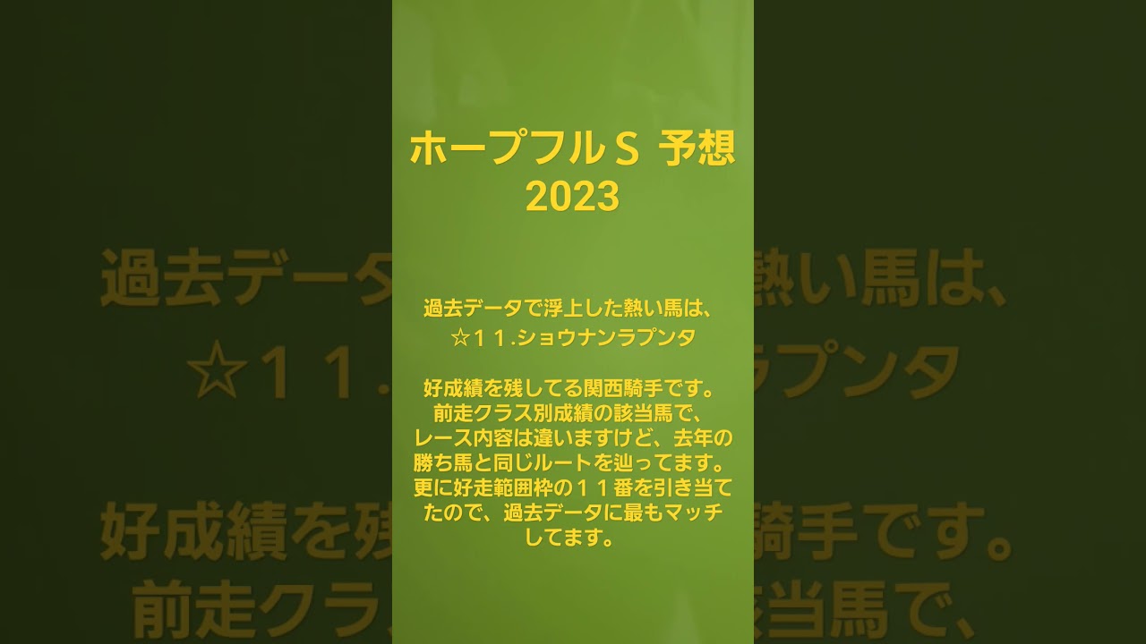 ホープフルS予想🐴2023