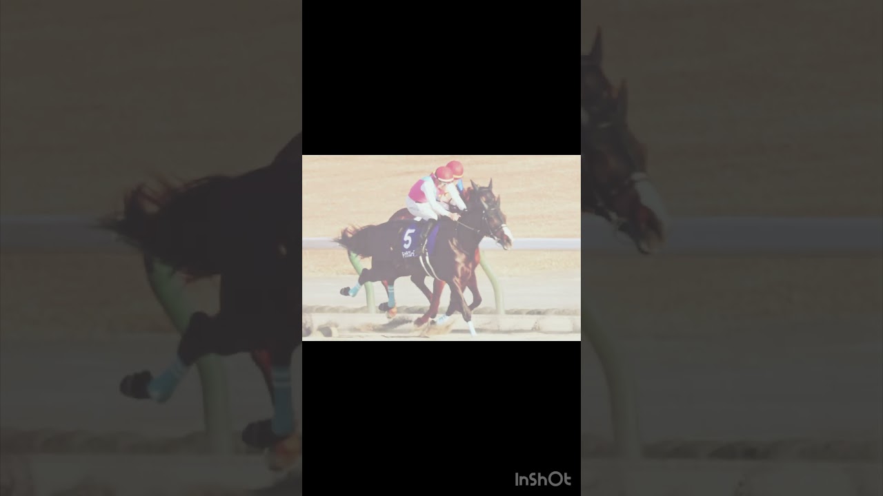 【フェブラリーステークス2024の軸馬予想】芝とダート二刀流なるか！二刀流の先輩も軸馬に選出！#競馬予想 #フェブラリーS2024 #フェブラリーS予想 #shorts