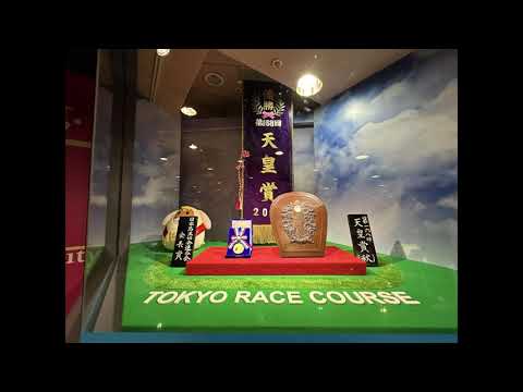 【第168回 天皇賞・秋(GI)】現地レース映像