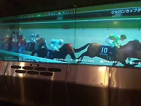 A3フェアウェルソング ジャパンカップD