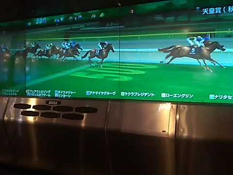 A1フェアウェルソング 天皇賞秋