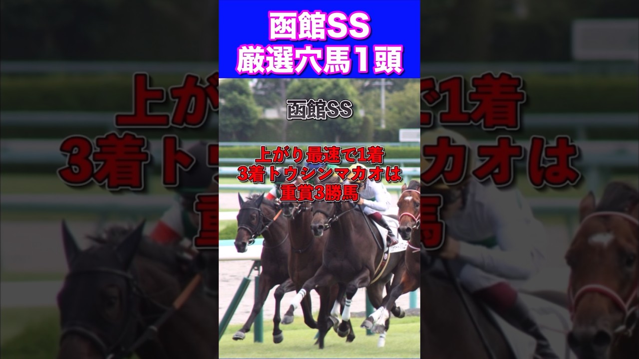 【函館スプリントステークス2024】厳選穴馬1頭