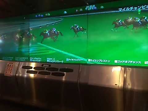 1サンデーサイレンスー マイルチャンピオンシップ引退