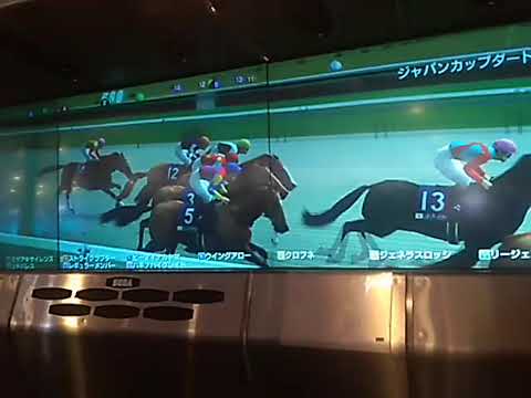 A3ストライクラプター ジャパンカップD