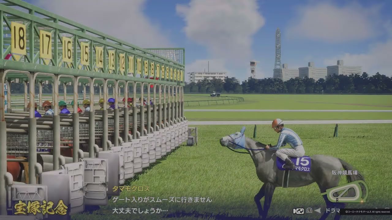 1988年 宝塚記念