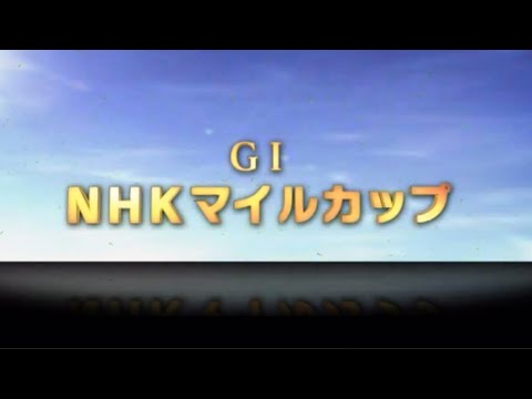 NHkマイルチャンピオンシップ2024