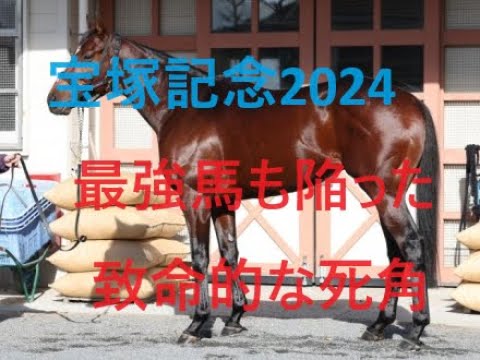 宝塚記念 2024 低レベルな頂上決戦　ドウデュース栄光ゆえの転落　偽りの王者ジャスティンパレス