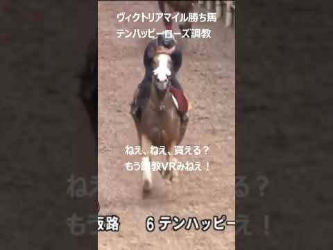 【ヴィクトリアマイル】勝ち馬テンハッピーローズ。この調教VTRを見て馬券買った方へ弟子入りさせてください。