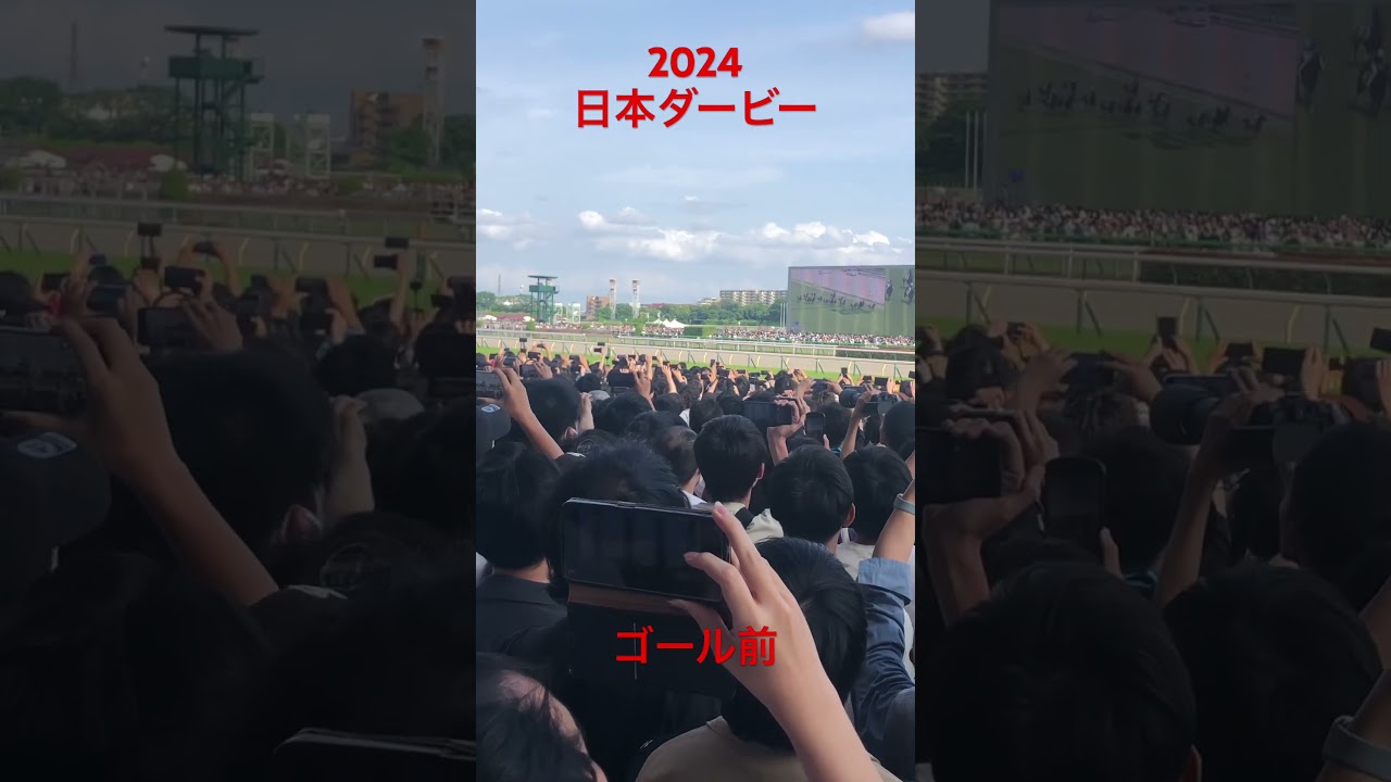 日本ダービー ゴール前直線 #short #shorts #東京競馬場　#現地観戦 #日本ダービー #東京優駿 #競馬 #馬券 #ダノンデサイル #横山典弘