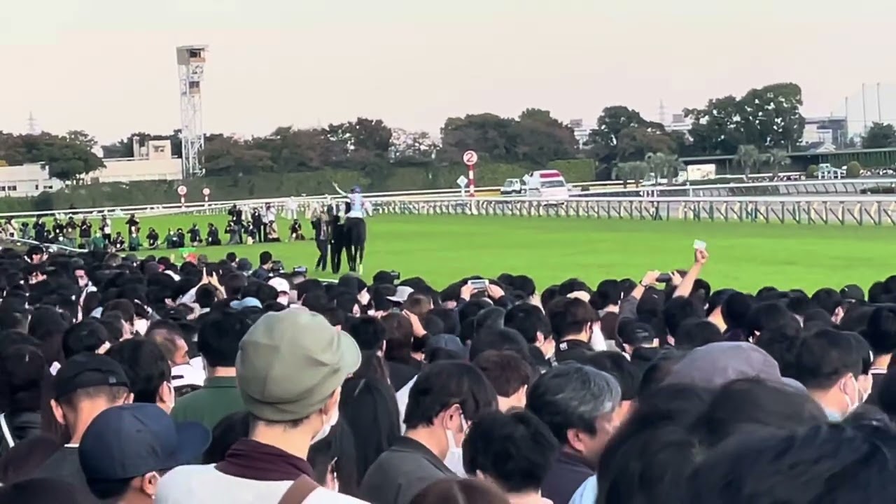 天皇賞秋G1 2022 イクイノックス(2) 現地映像