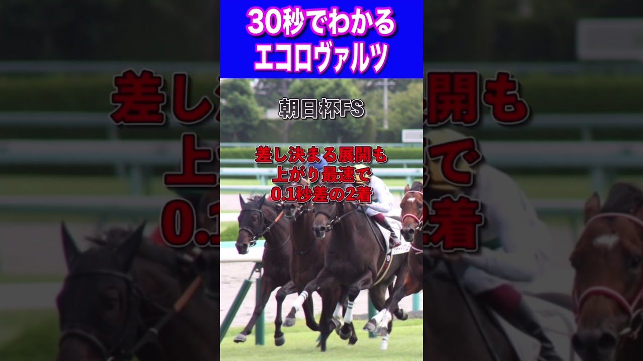 【皐月賞2024】30秒でわかるエコロヴァルツ