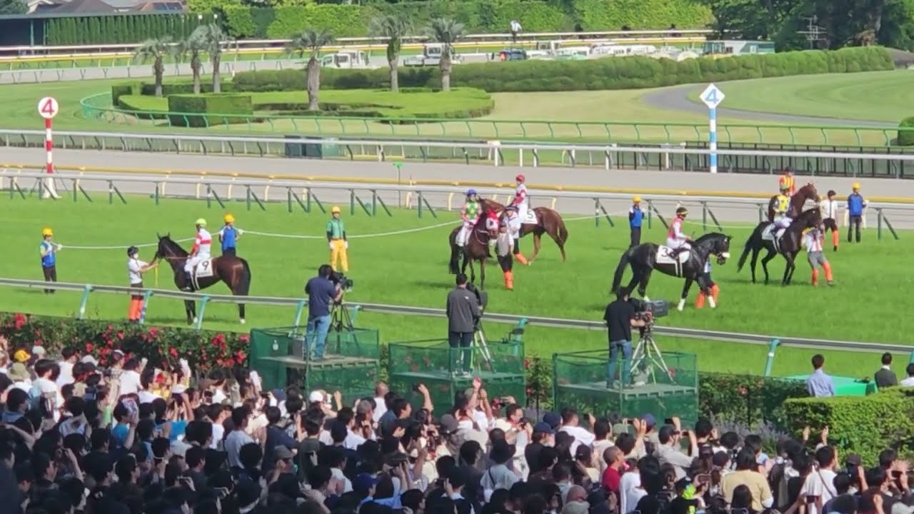 2024.5.26　東京優駿(GI)　生演奏ファンファーレ🎺　ダービー