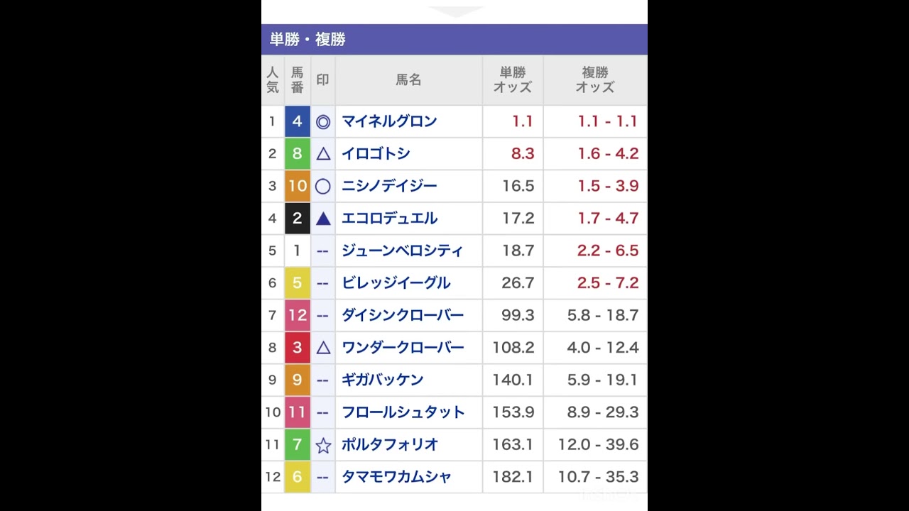 中山グランドジャンプ ◎マイネルグロン本命　#競馬 #競馬予想 #中山グランドジャンプ #shorts