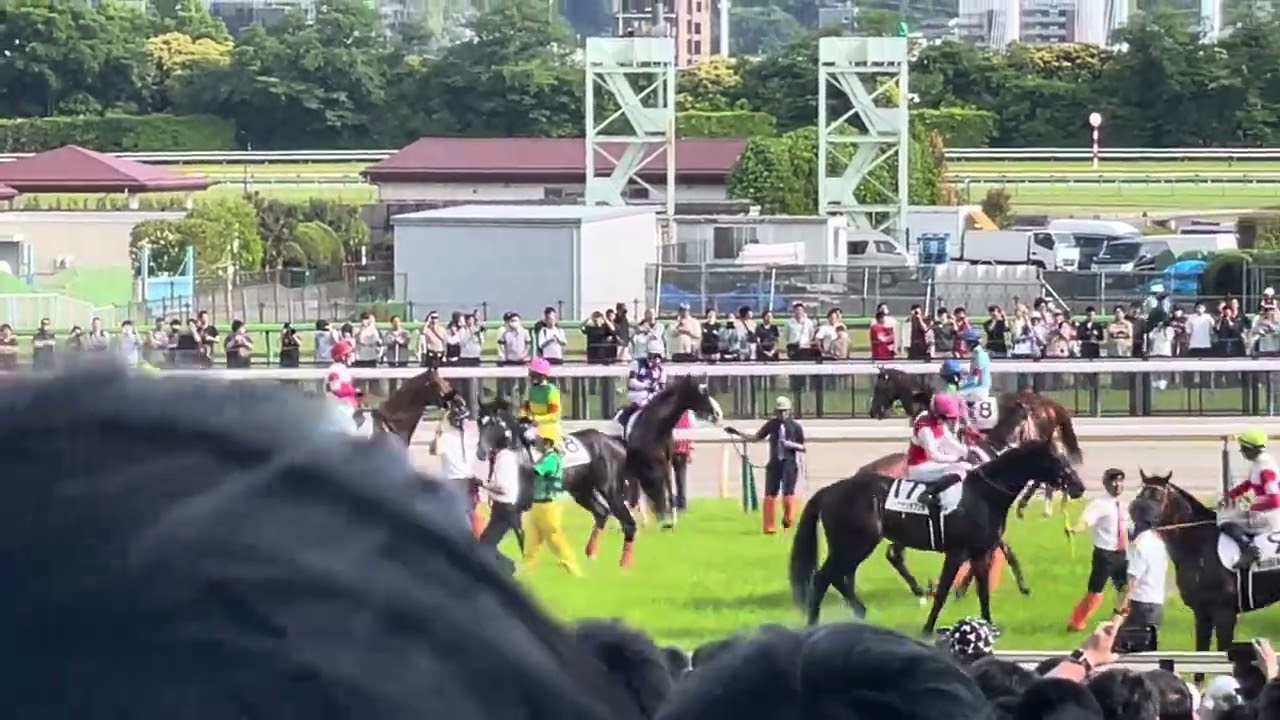 日本ダービー G1 2024 ダノンデサイル　現地映像　東京競馬場