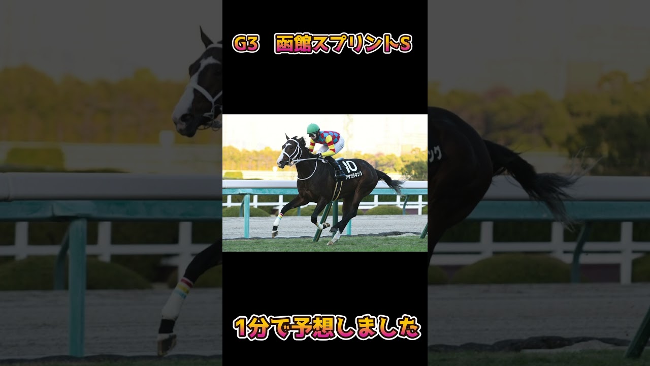2024年　G3　函館スプリントステークス　1分で予想しました 　＃shorts