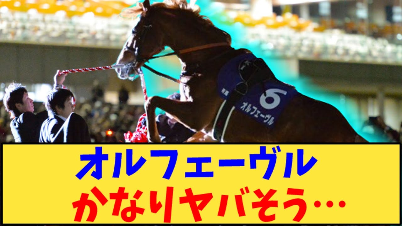 【競馬】「オルフェーヴル、かなりヤバそう…」に対する反応【反応集】