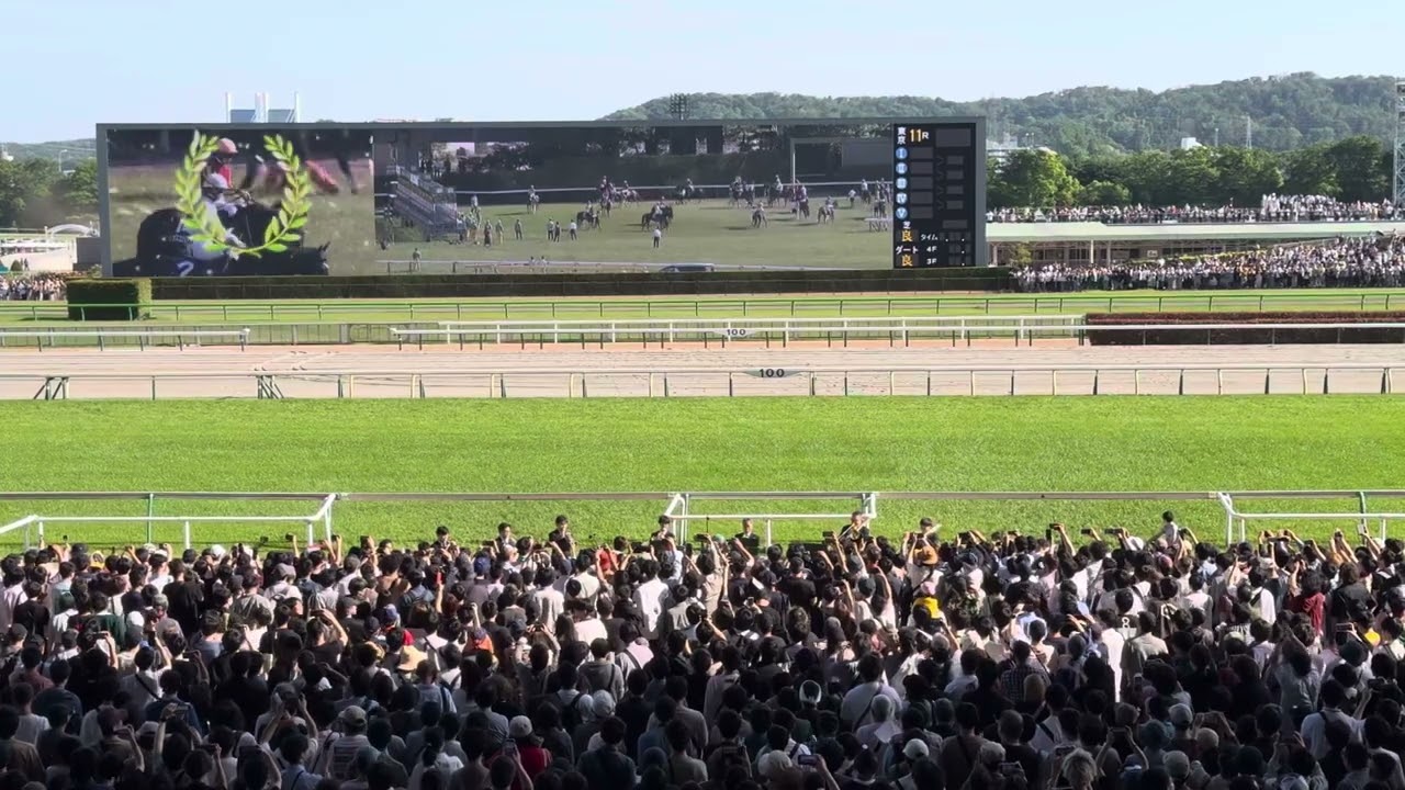 【NHKマイルカップ2024】生ファンファーレ【現地撮影】