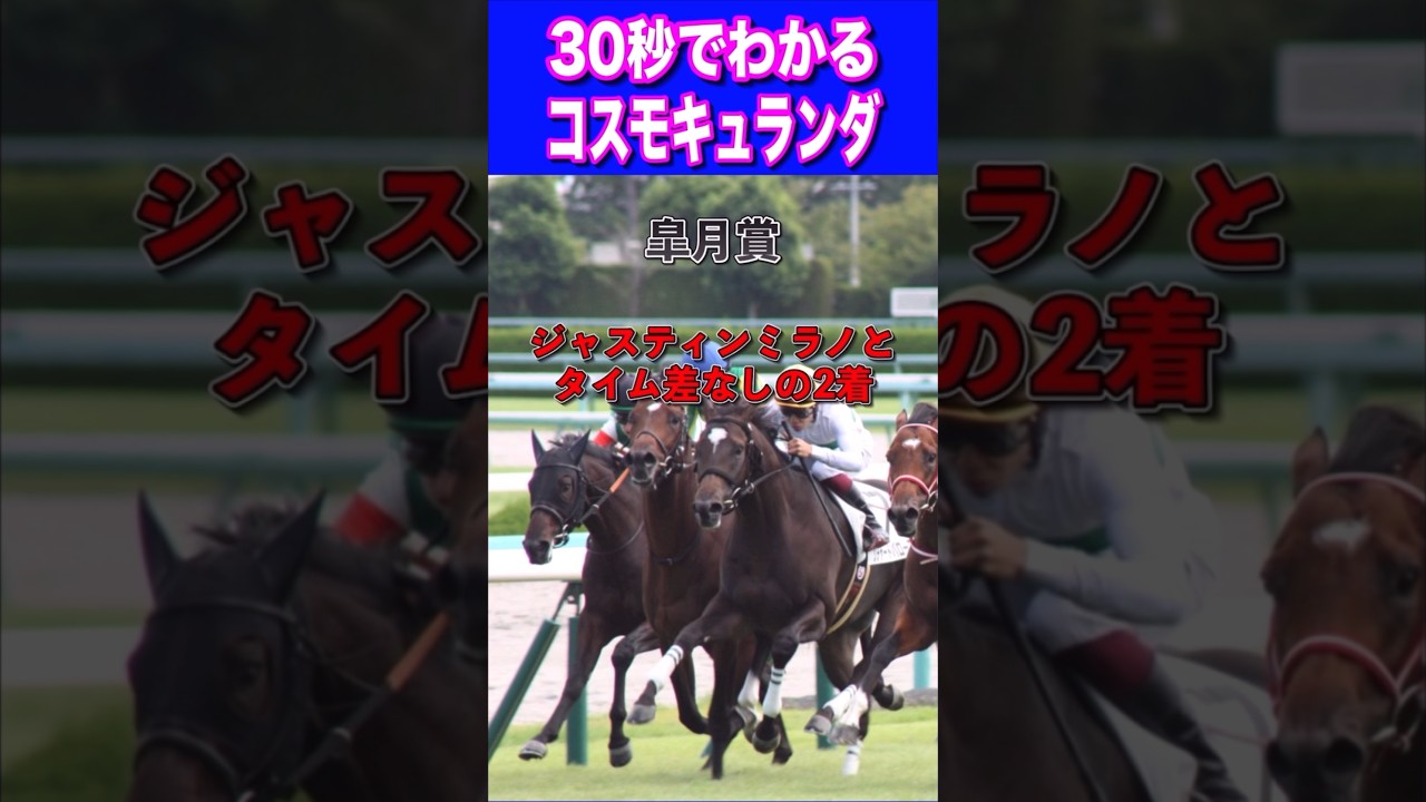 【日本ダービー2024】30秒でわかるコスモキュランダ